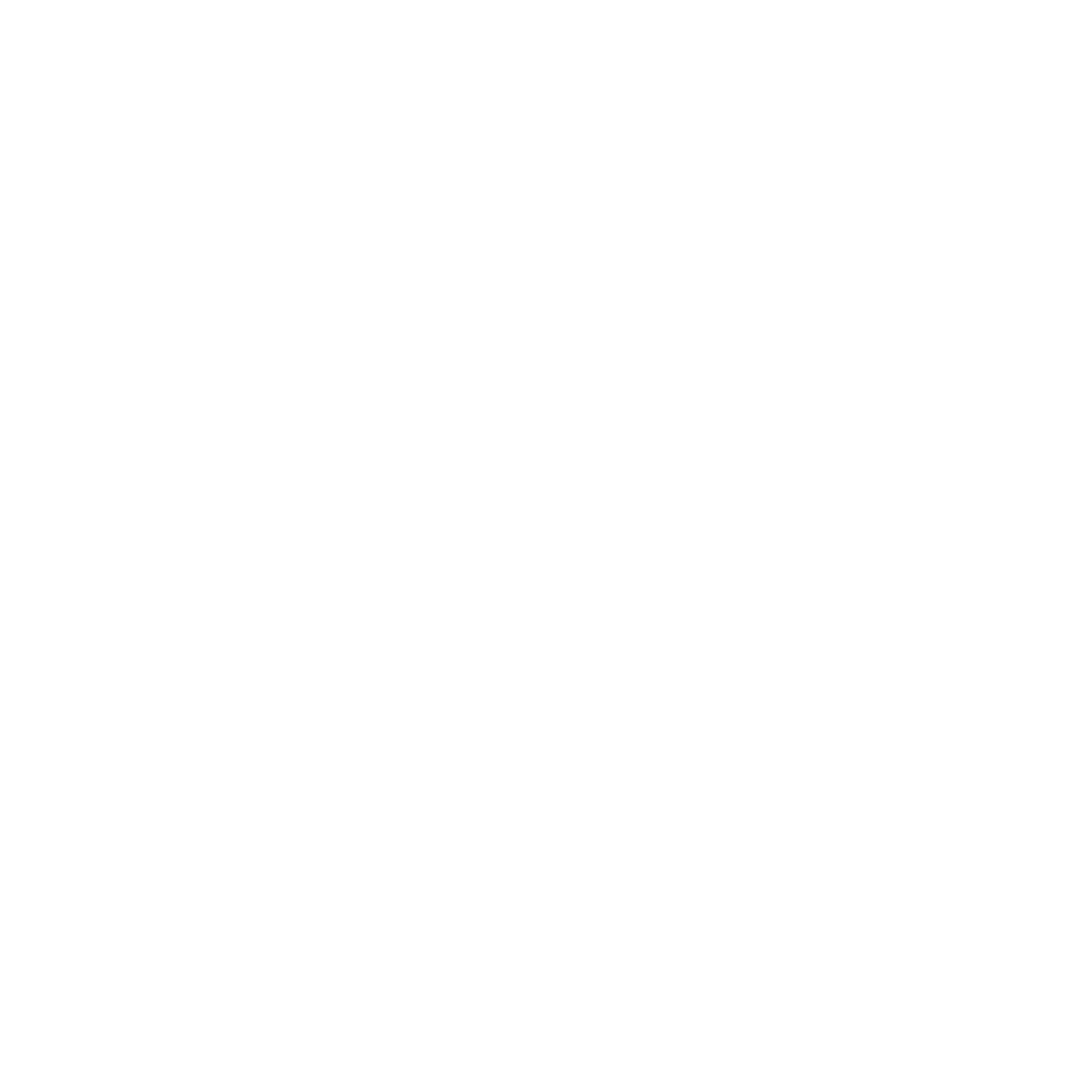 Style Academy